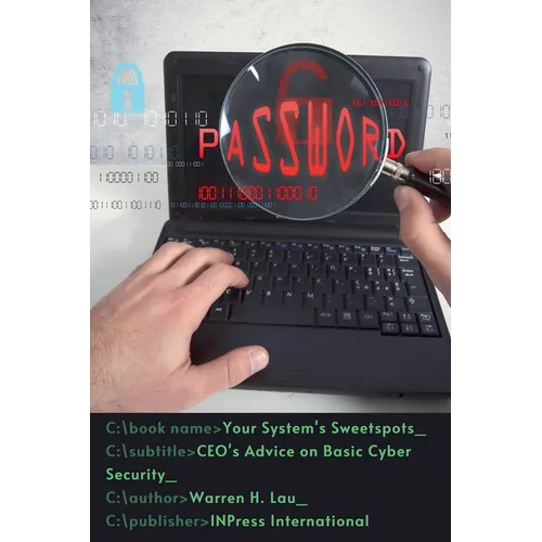 Your System's Sweetspots: CEO's Advice on Basic Cyber Security - Paperback