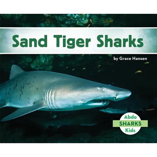 Sand Tiger Sharks - Library Binding