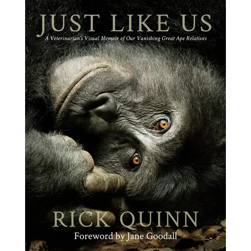 Just Like Us: A Veterinarian's Visual Memoir of Our Vanishing Great Ape Relatives - Hardcover