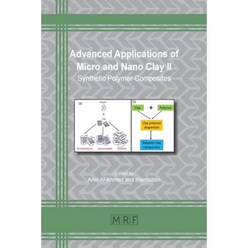 Advanced Applications of Micro and Nano Clay II: Synthetic Polymer Composites - Paperback