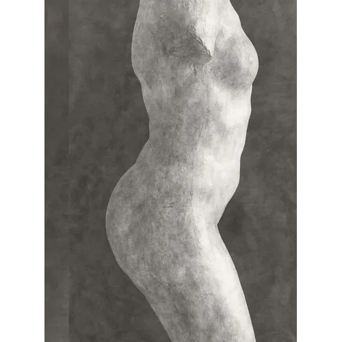 Rodin: Photographs by Emmanuel Berry - Hardcover