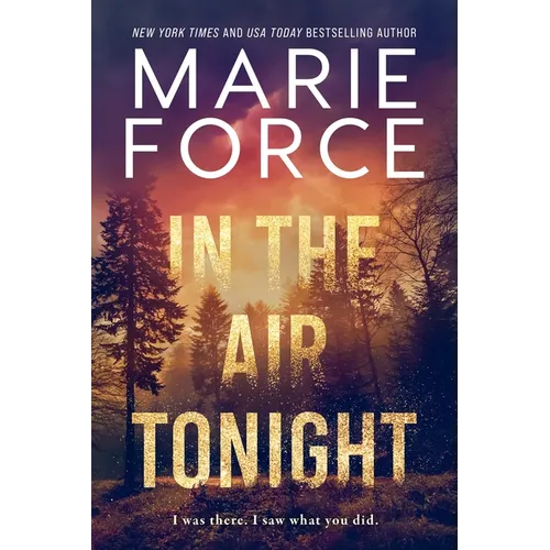 In the Air Tonight - Paperback