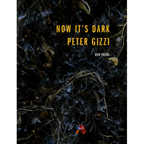 Now It's Dark - Paperback
