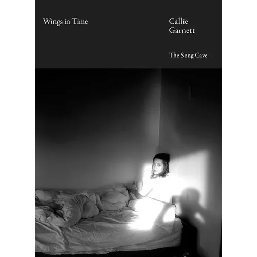 Wings in Time - Hardcover