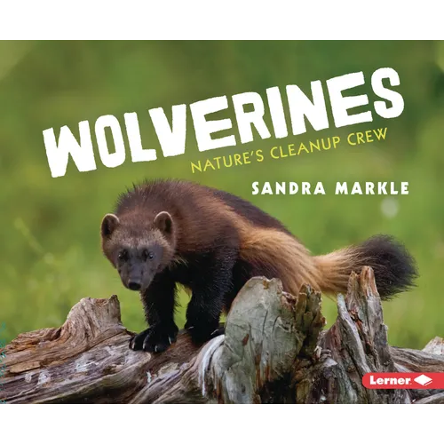 Wolverines: Nature's Cleanup Crew - Paperback
