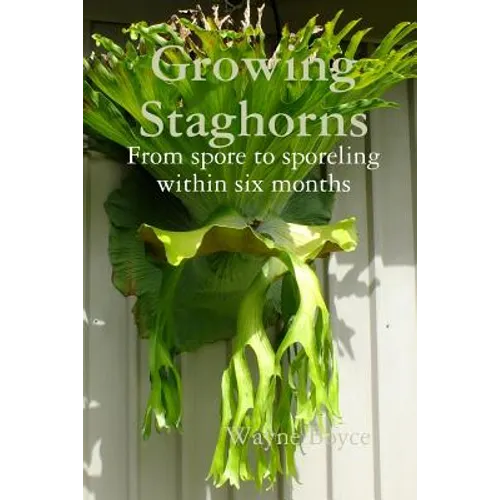Growing Staghorns from Spore - Paperback