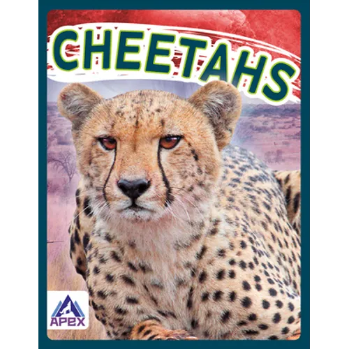Cheetahs - Library Binding