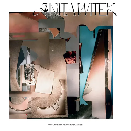 Anita Witek: Unforeseeable Occurrences - Hardcover