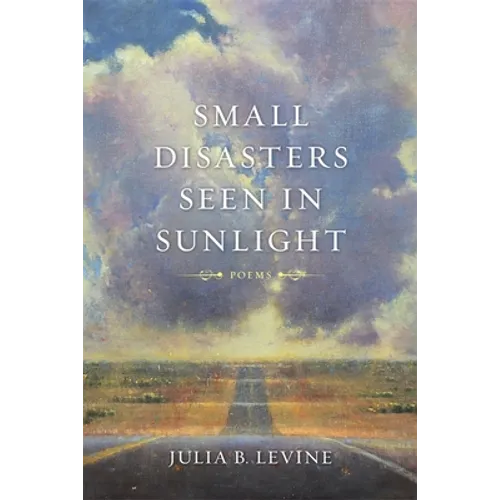 Small Disasters Seen in Sunlight - Paperback