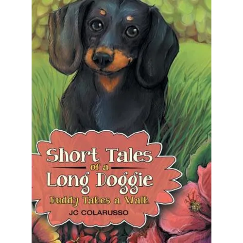 Short Tales of a Long Doggie: Buddy Takes a Walk - Hardcover