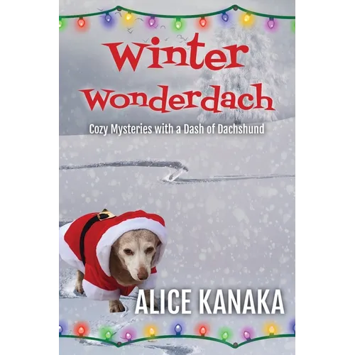 Winter Wonderdach - Paperback