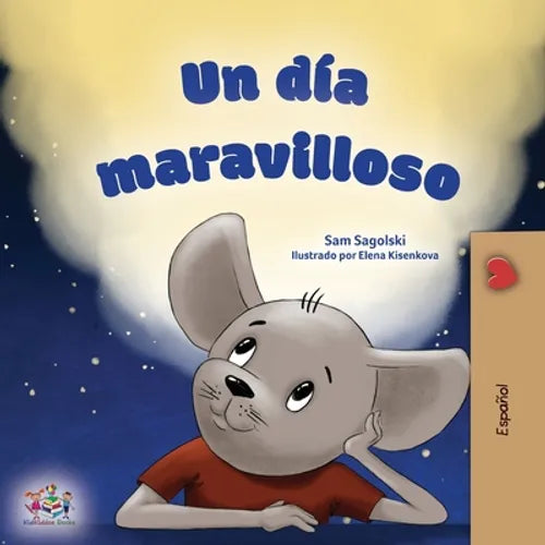 A Wonderful Day (Spanish Children's Book) - Paperback