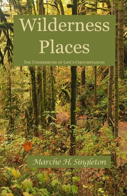 Wilderness Places: The Underbrush of Life's Journey - Paperback