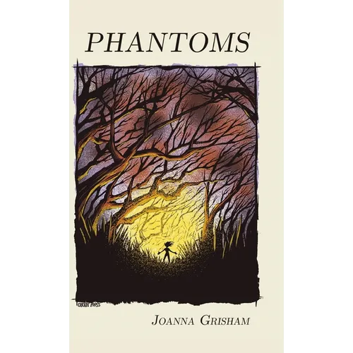Phantoms - Hardcover