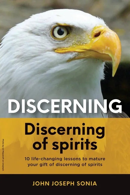 Discerning, discerning of spirits.: A Divine Weapon Given by the Holy Spirit to help Equip the Body of Christ for Discernment in the Last Days - Paperback