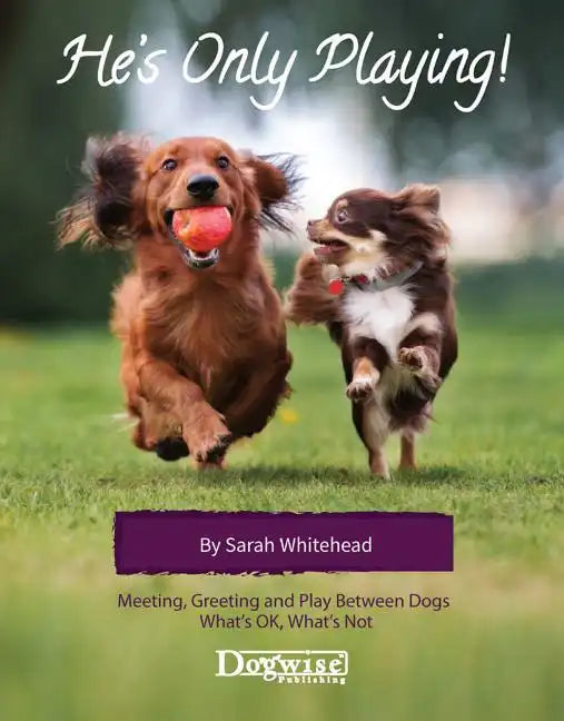 He's Only Playing: Meeting, Greeting and Play Between Dogs. What's Ok, What's Not. - Paperback