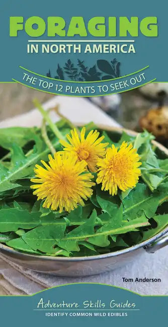 Foraging in North America: The Top 12 Plants to Seek Out - Spiral