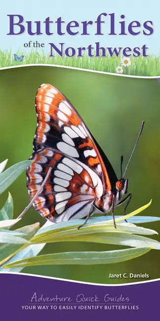 Butterflies of the Northwest: Your Way to Easily Identify Butterflies - Spiral