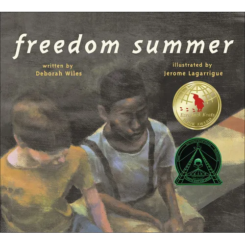Freedom Summer - Hardcover