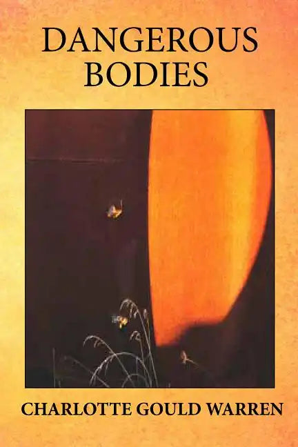 Dangerous Bodies - Paperback