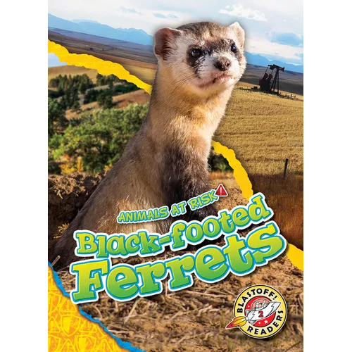 Black-Footed Ferrets - Library Binding