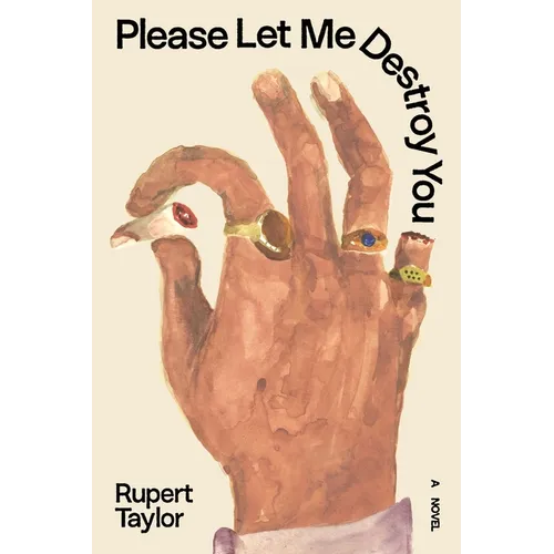 Please Let Me Destroy You - Paperback