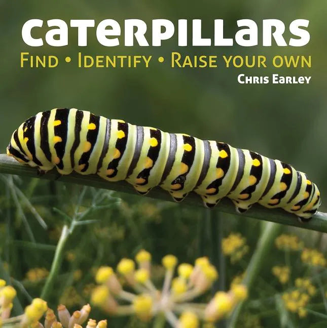 Caterpillars: Find, Identify, Raise Your Own - Paperback