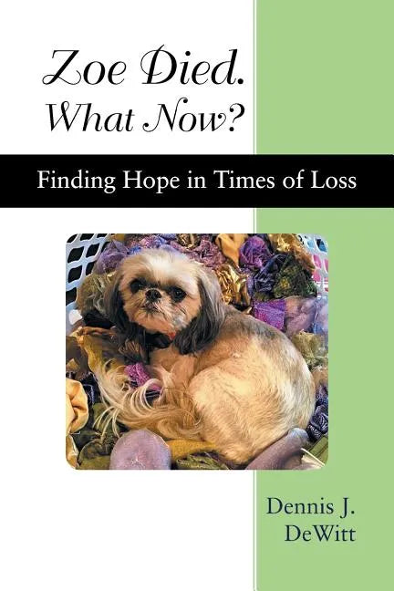 Zoe Died. What Now?: Finding Hope in Times of Loss - Paperback
