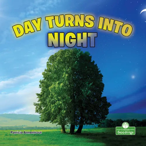 Day Turns Into Night - Paperback