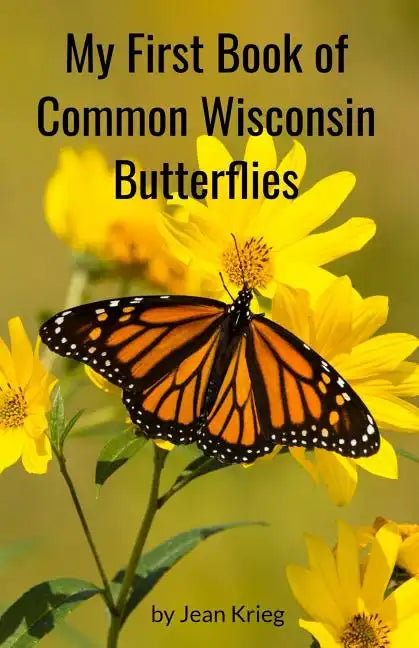 My First Book of Common Wisconsin Butterflies - Paperback