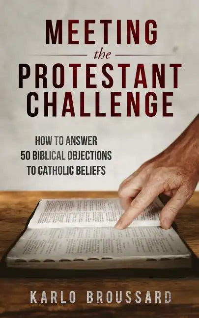 Meeting the Protestant Challenge - Paperback