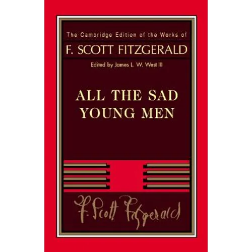 Fitzgerald: All the Sad Young Men - Paperback