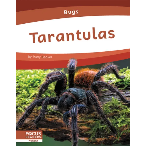Tarantulas - Paperback