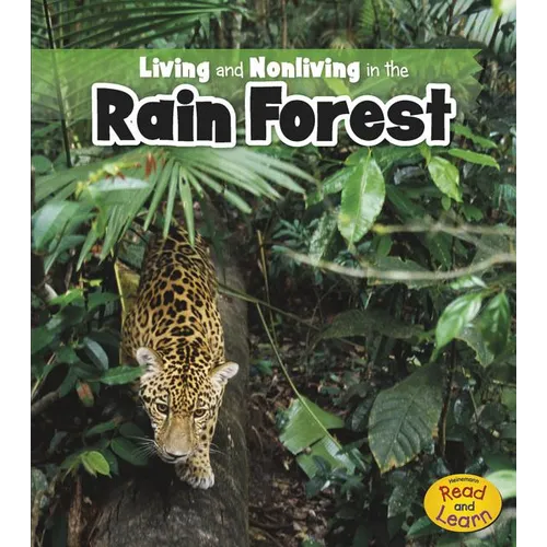 Living and Nonliving in the Rain Forest - Paperback