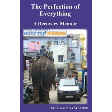 The Perfection of Everything: A Recovery Memoir - Paperback