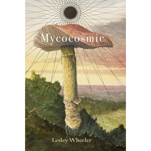 Mycocosmic - Paperback