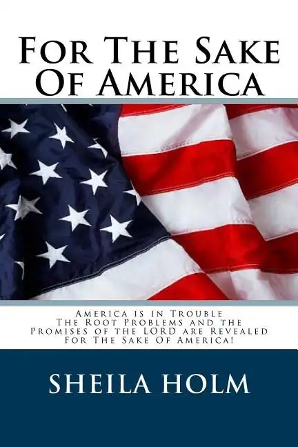 For The Sake Of America - Paperback