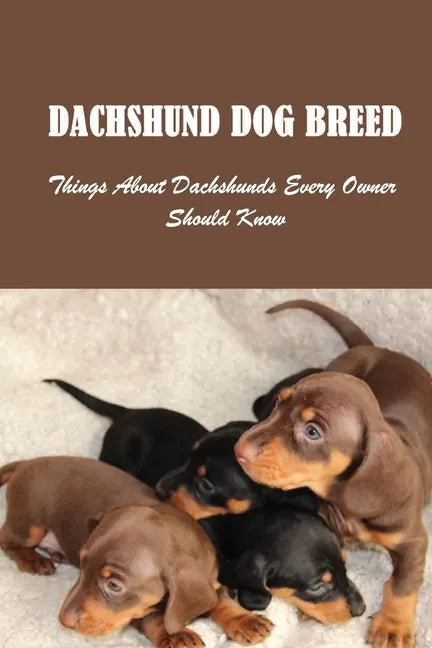 Dachshund Dog Breed: Things About Dachshunds Every Owner Should Know: Can You Breed A Mini Dachshund With A Standard - Paperback