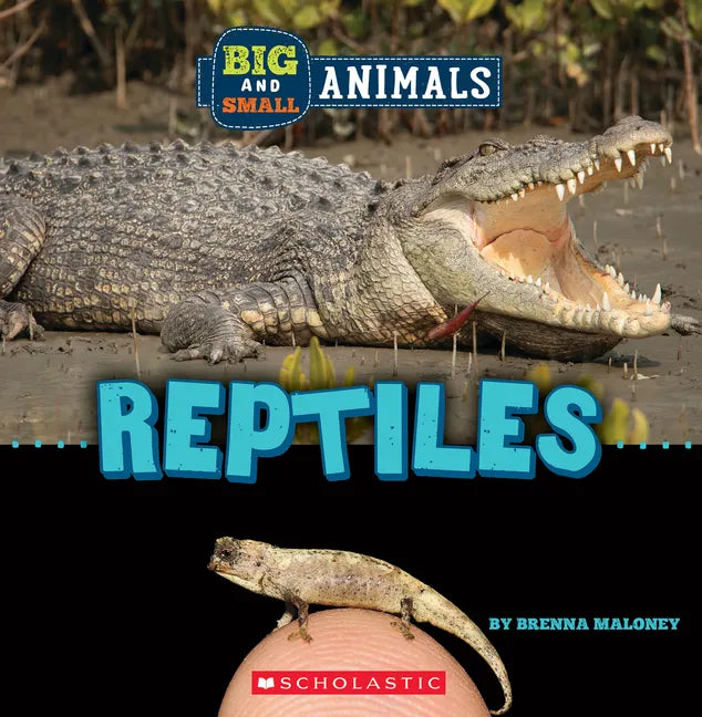 Reptiles (Wild World: Big and Small Animals) - Paperback