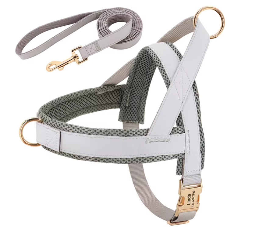 Lettering Large Dog Vest Chest Harness