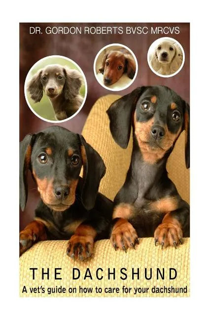 The Dachshund: A vet's guide on how to care for your Dachshund - Paperback