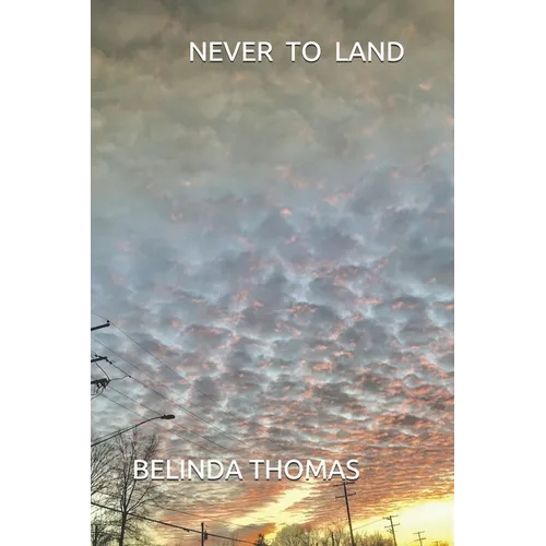 Never To Land - Paperback