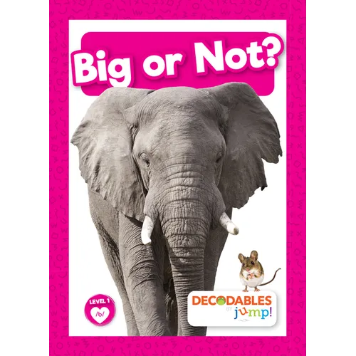 Big or Not? - Library Binding