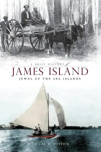 A Brief History of James Island: Jewel of the Sea Islands - Hardcover