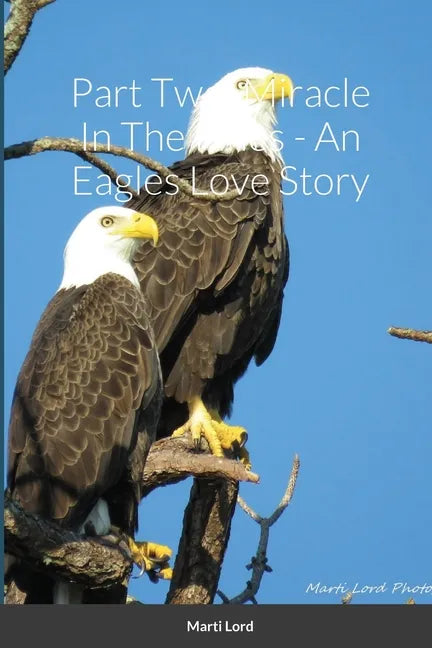 Part Two: Miracle In The Pines - An Eagles Love Story - Paperback