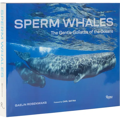Sperm Whales: The Gentle Goliaths of the Ocean - Hardcover