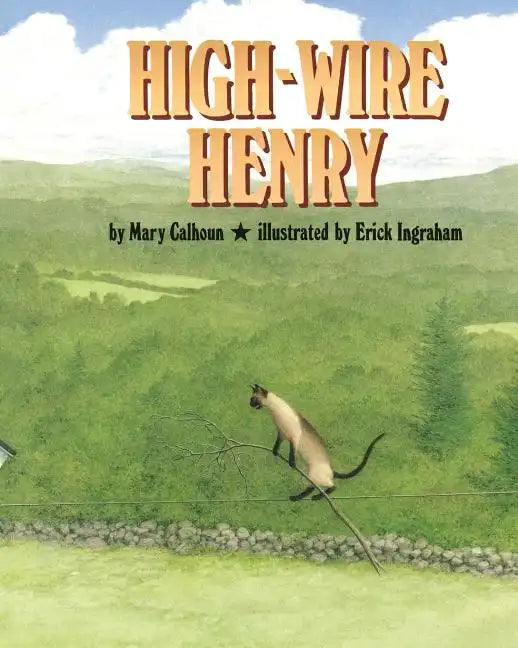 High-Wire Henry - Paperback