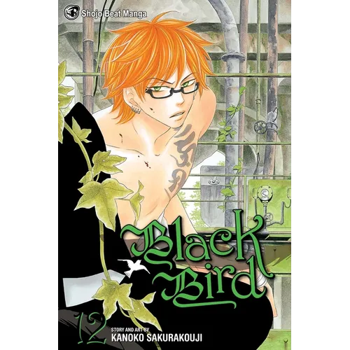 Black Bird, Volume 12 - Paperback