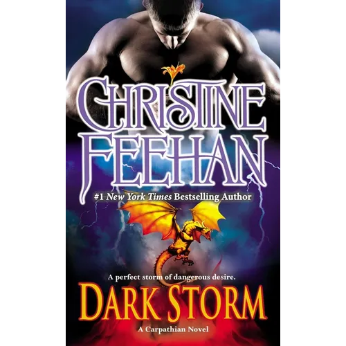 Dark Storm - Paperback