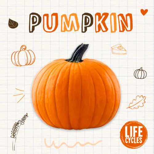 Pumpkin - Paperback